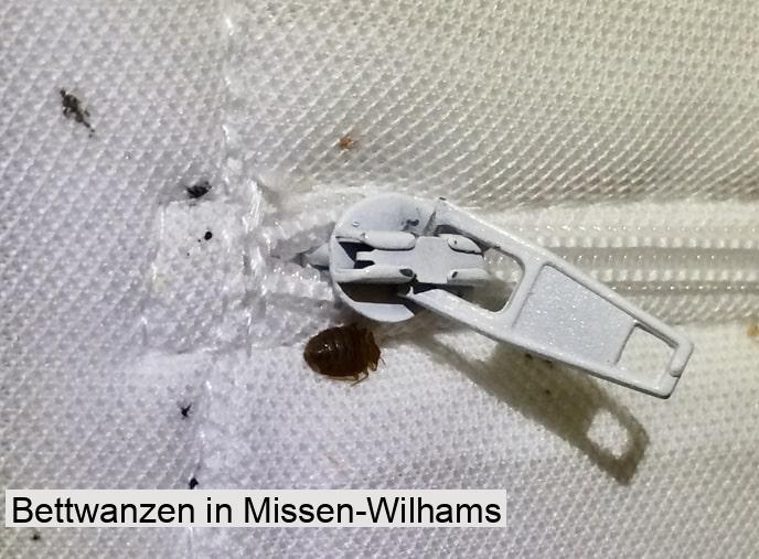 Bettwanzen in Missen-Wilhams